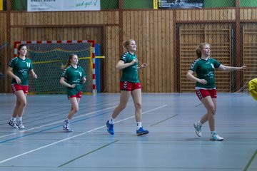 Bild 141 - A-Juniorinnen HSG Kremperheide/M�nsterdorf - HSG J�rl DE Vi�l : Ergebnis: 33:12